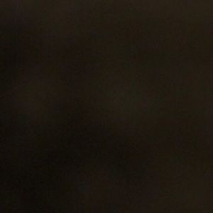 Meet your Posher, Arielle